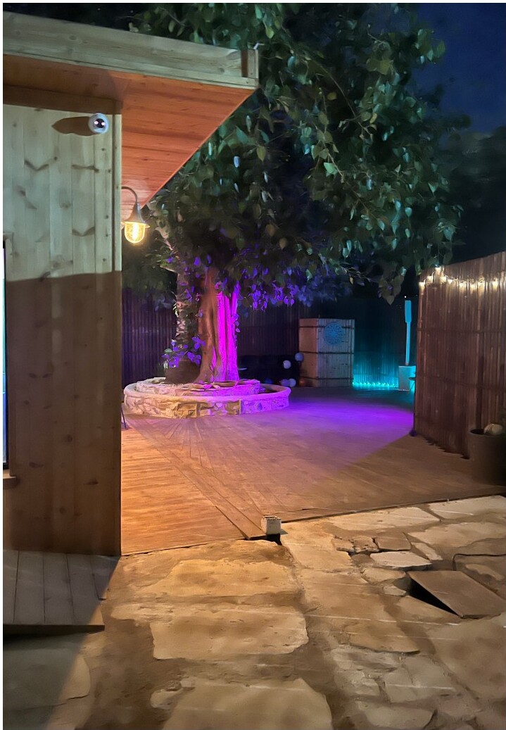 A child by the courtyard tree at night